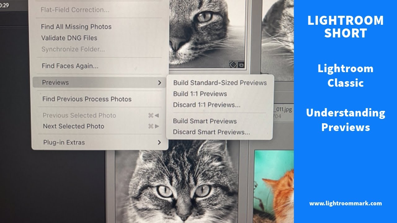 Adobe Lightroom Classic, Understanding Previews Lightroom Support